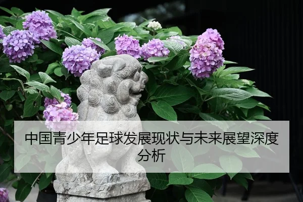 zhong-guo-qing-shao-nian-zu-qiu-fa-zhan-xian-zhuang-yu-wei-lai-zhan-wang-shen-du-fen-xi-2-229.jpg