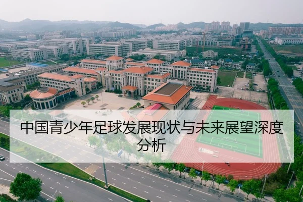 中国青少年足球发展现状与未来展望深度分析