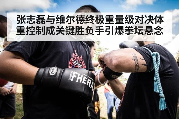 张志磊与维尔德终极重量级对决体重控制成关键胜负手引爆拳坛悬念