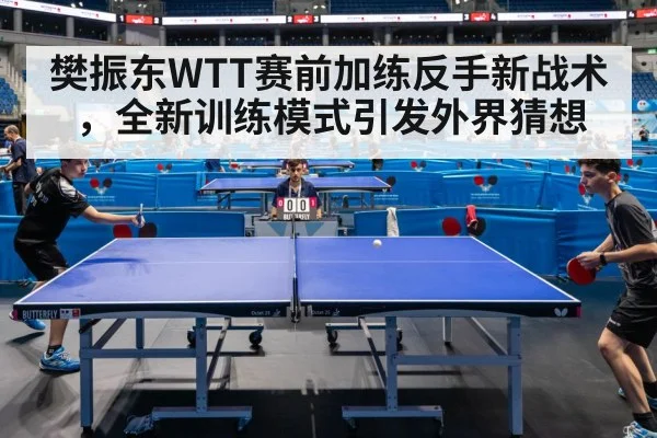 樊振东WTT赛前加练反手新战术，全新训练模式引发外界猜想